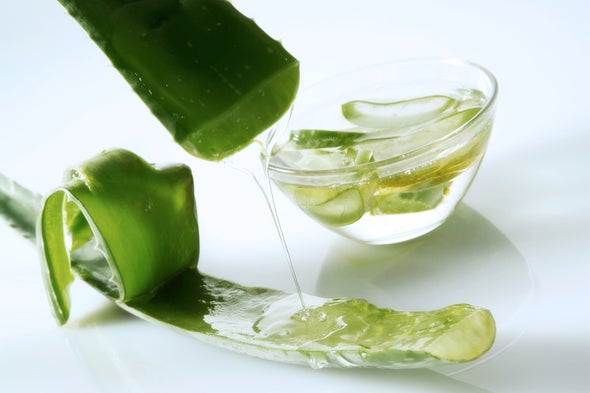 Aloe Vera Gel and Also Its Benefits